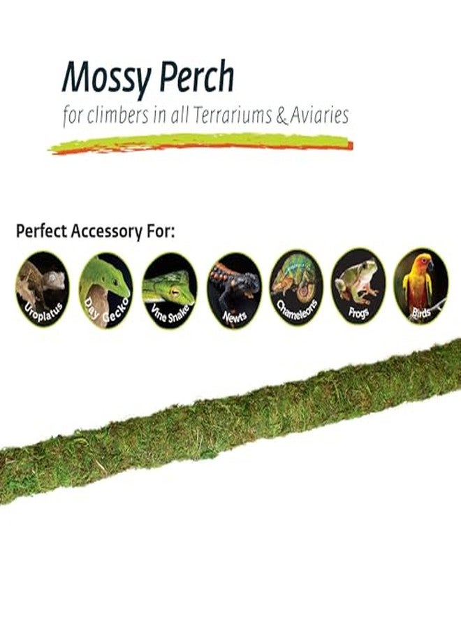 Galapagos (22210) Mossy Perch for Aquarium, 24", Fresh Green - Image 4